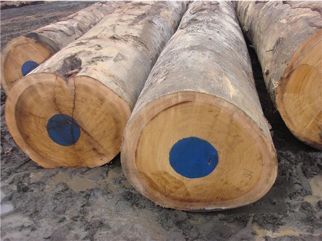 ����R��Ԕ��(x��)��B