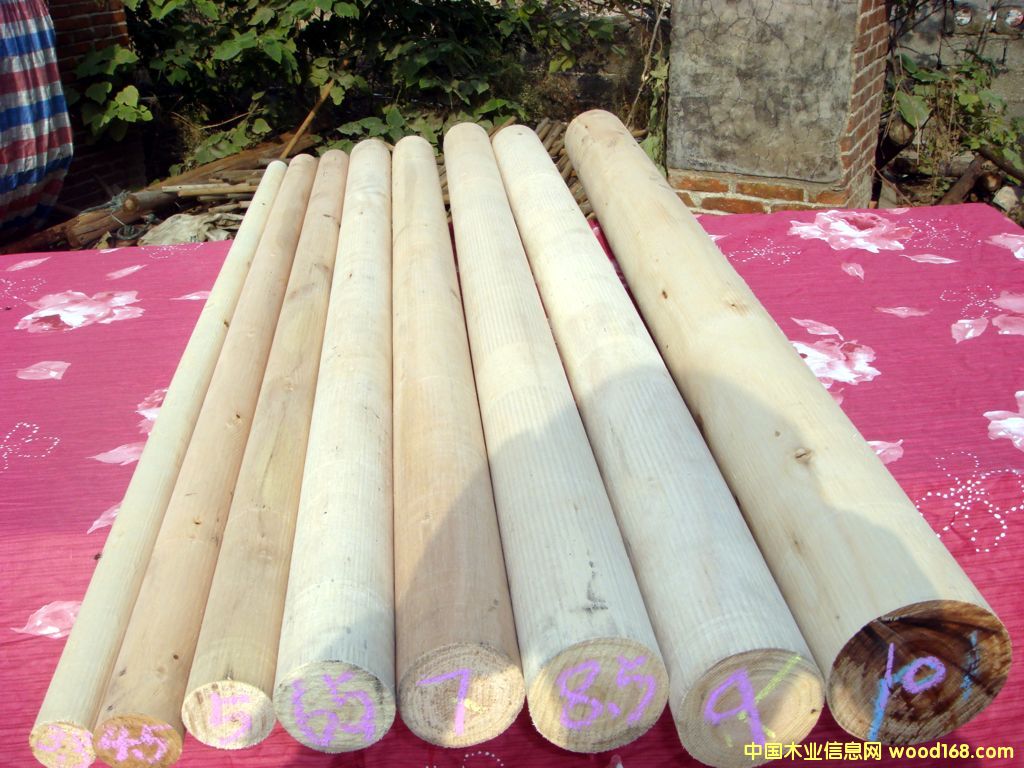 ��ľ�A����Ԕ��(x��)��B