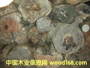 ��t��֦��Ԕ��(x��)��B