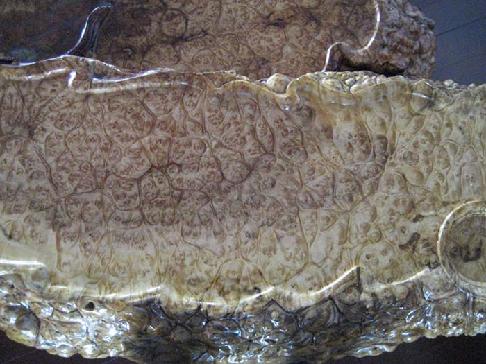 ����(y��ng)����/����/��̵�Ԕ����B