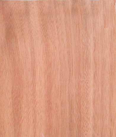 �������Ԕ��(x��)��B