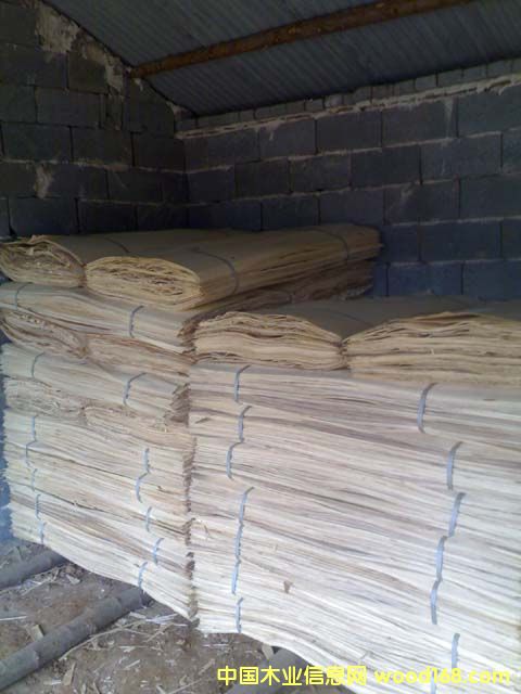 ľƬ��Ԕ����B