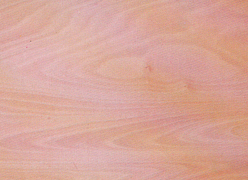 �һ�о������