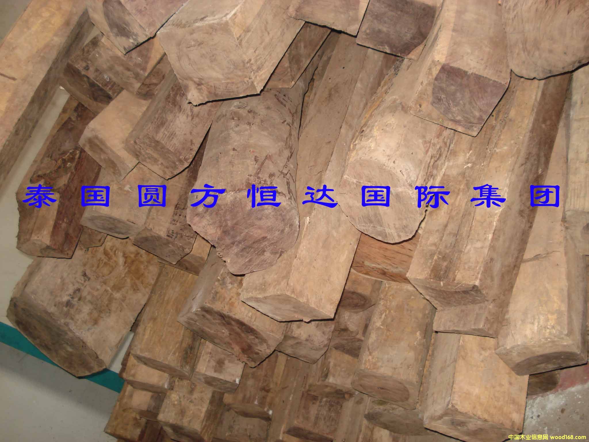 ��t��֦��Ԕ��(x��)��B