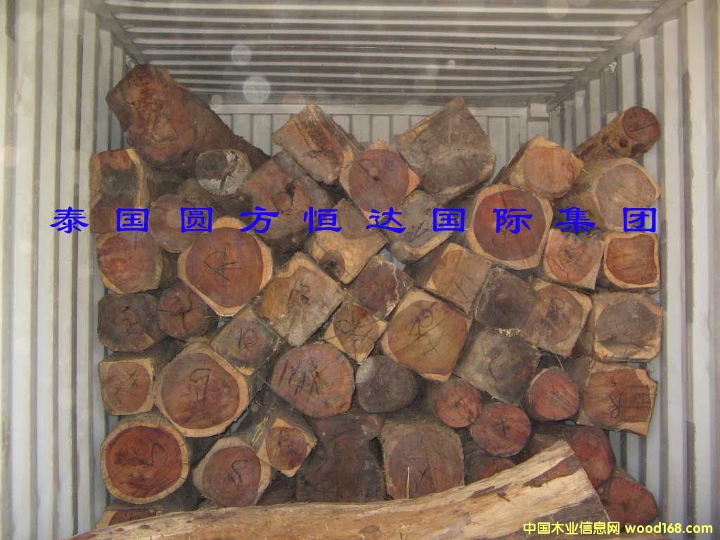 ��t��֦��Ԕ��(x��)��B