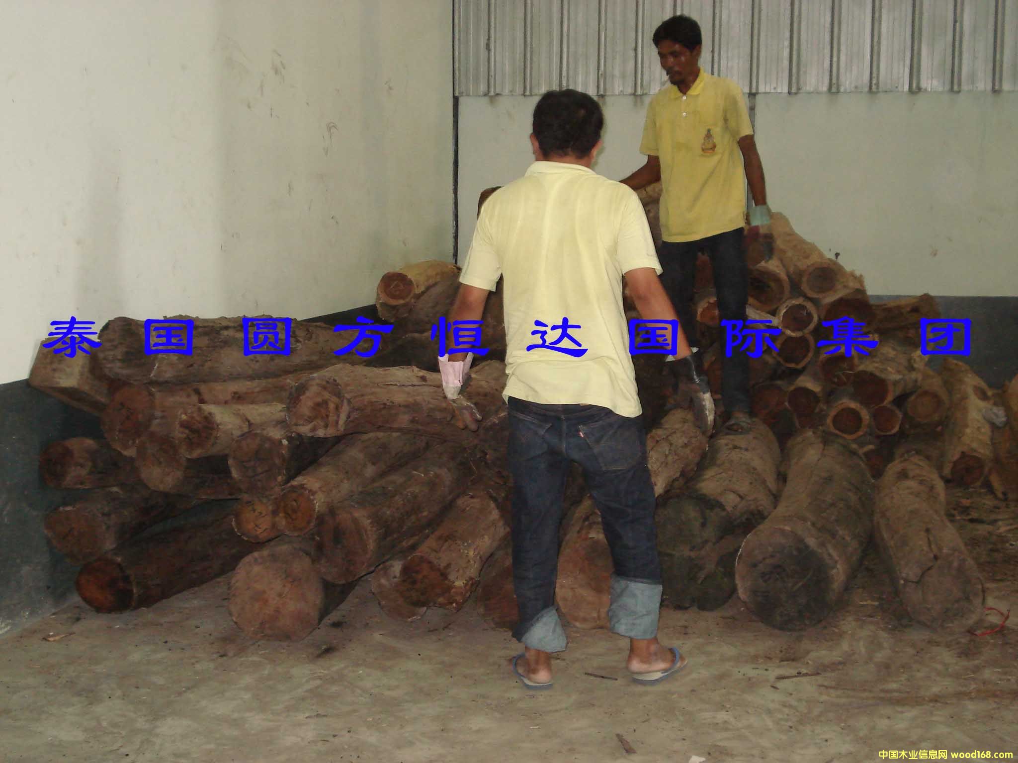 ��t��֦��Ԕ��(x��)��B