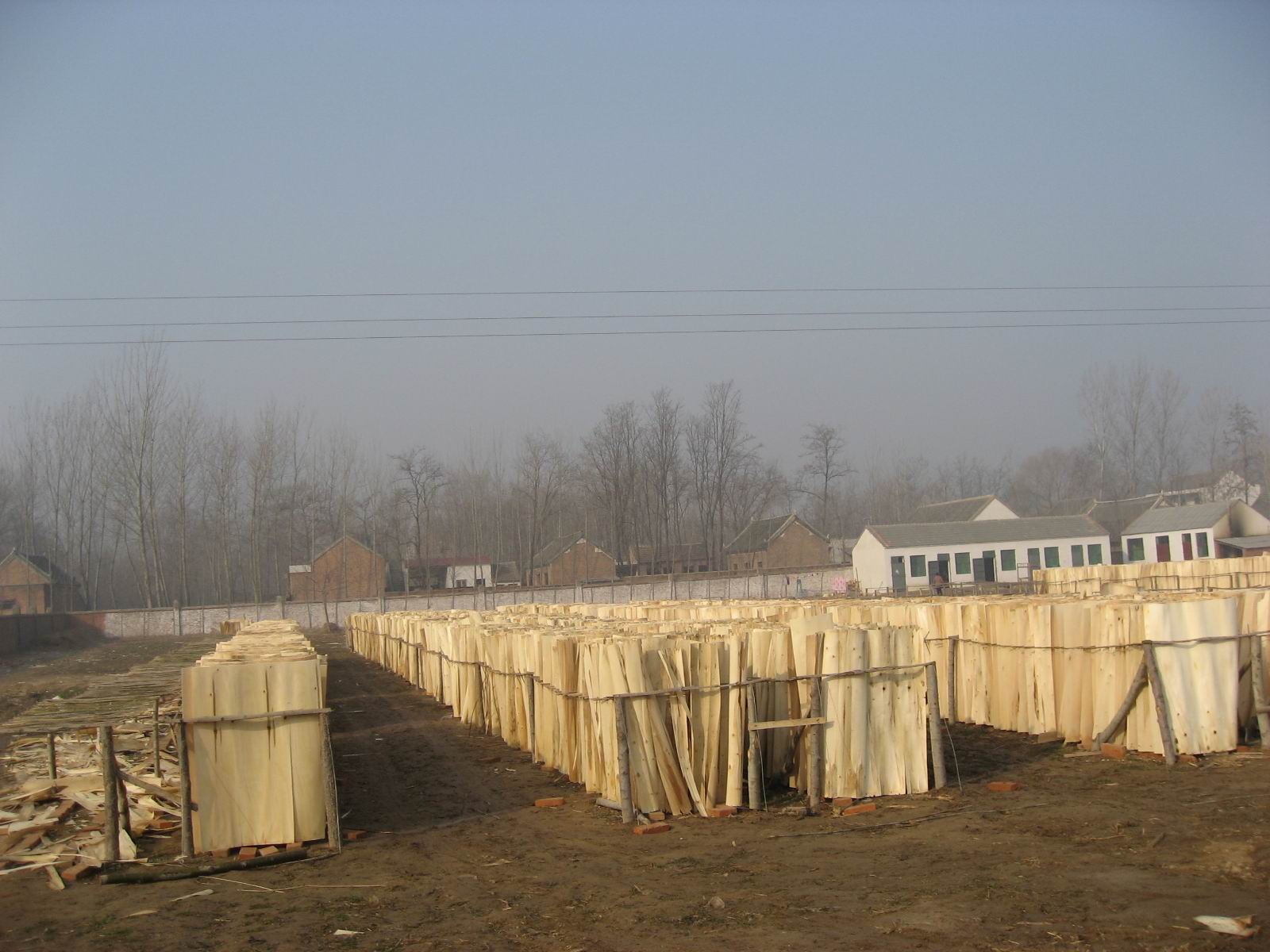 ��ľ�ΰ��Ԕ��(x��)��B