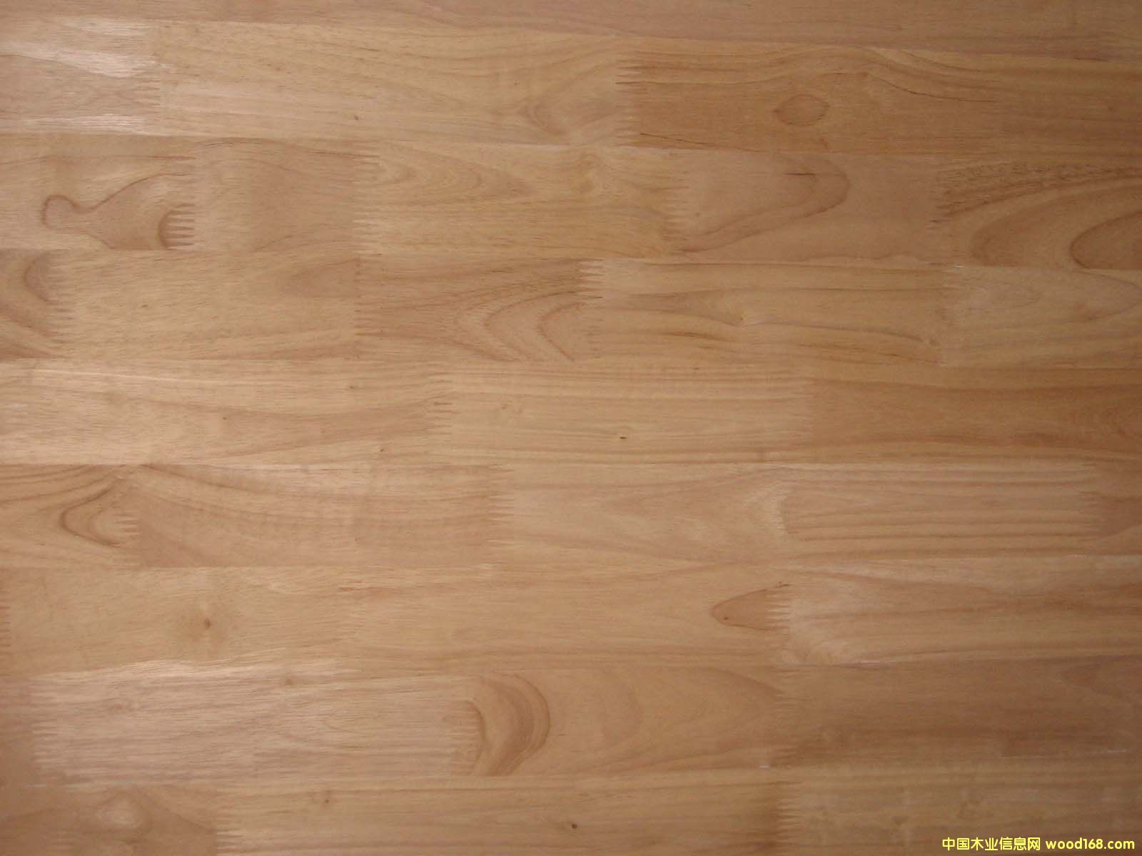 ���zľƴ���Ԕ��(x��)��B