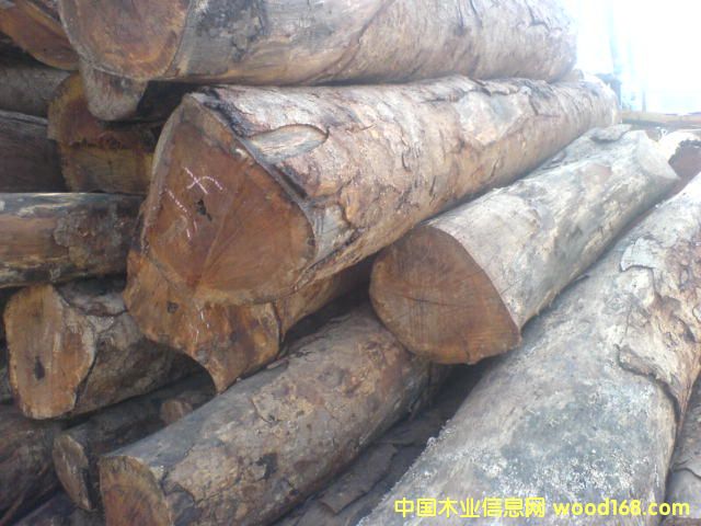 ����ľ��Ԕ��(x��)��B