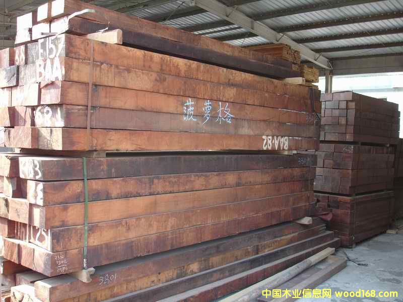 ���_���Ԕ��(x��)��B