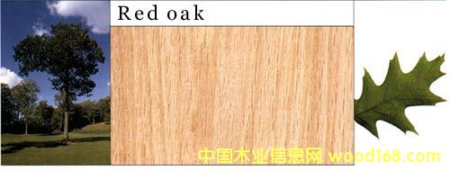 ����(gu��)�����Ԕ��(x��)��B