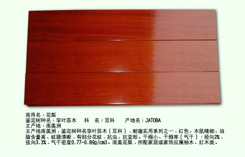 ����ľ��Ԕ��(x��)��B