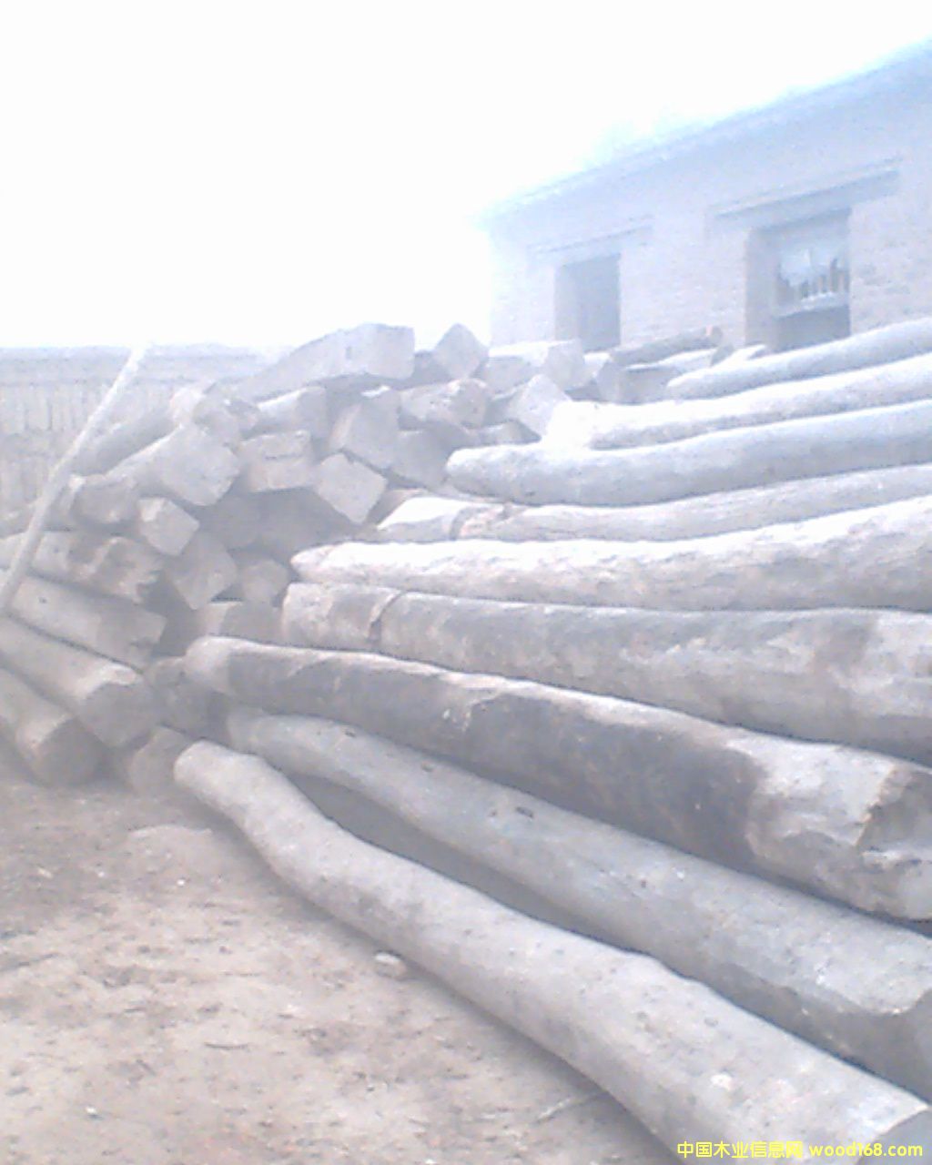 ����ľ��ԭľ��Ԕ��(x��)��B