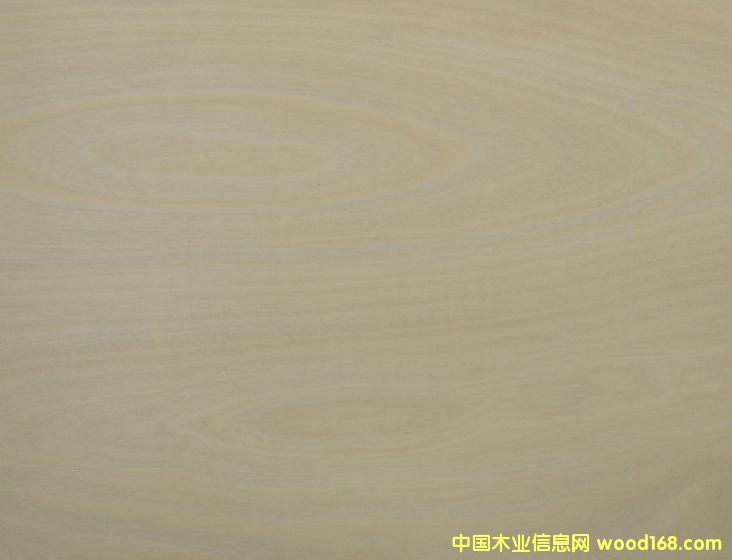 ���ľ�z�ϰ�