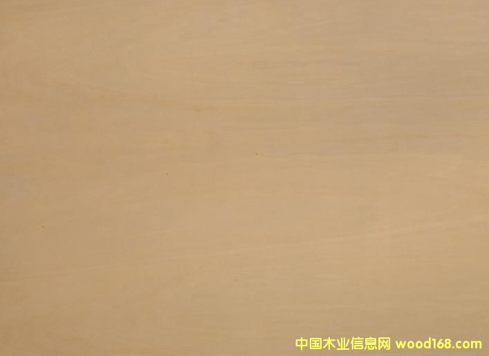 ȫ���z�ϰ�