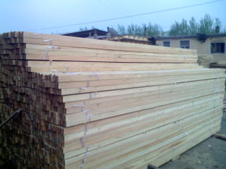 �ذ����ǵ�Ԕ����B