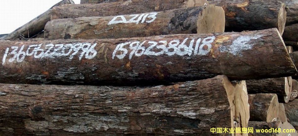 Ƥ�ҵ�Ԕ��(x��)��B