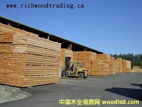 ������ �Fɼ ��ɼ SFP