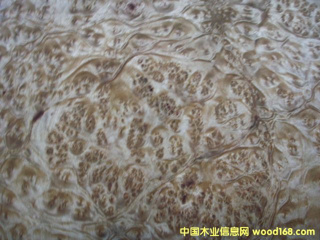 �����N����Ԕ����B