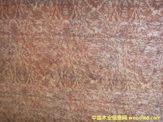 �����N����Ԕ����B