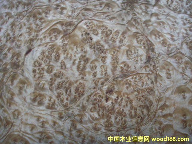 ɽ�����(sh��)����Ƥ