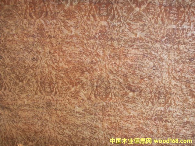 �����N����Ԕ����B