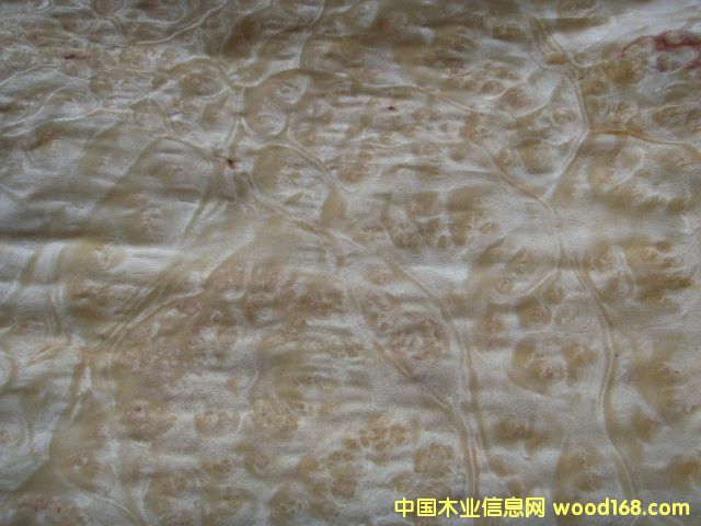 ɽ��������N����Ԕ����B