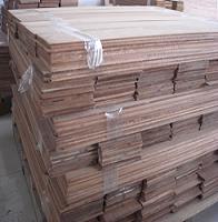 �c���鿴ɳ����(sapelli)��Ԕ���Y��