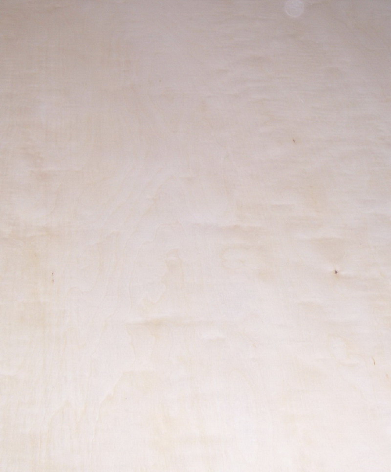 ��ľ�z�ϰ��Ԕ��(x��)��B