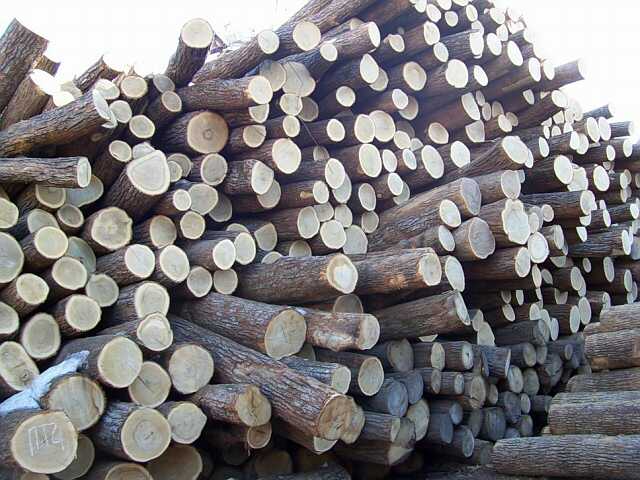 ��ľ��Ԕ��(x��)��B