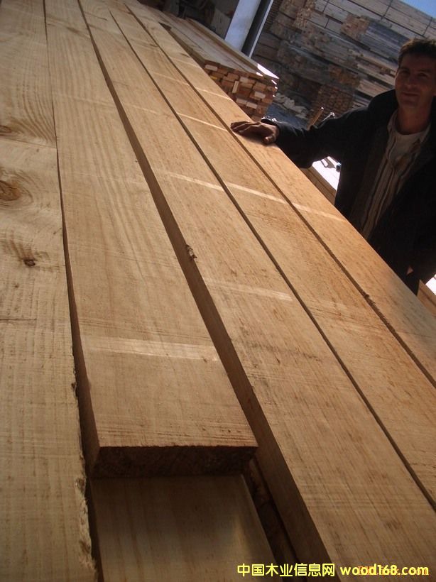 �����mݗ����