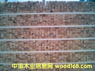 ���_˹������