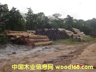 �G������Ԕ����B