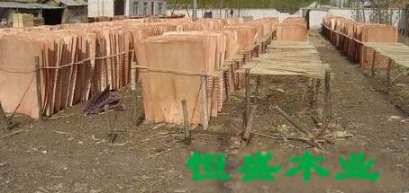 ��ľ�ΰ��Ԕ��(x��)��B