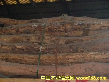 ����֦��Ԕ��(x��)��B