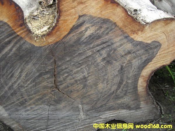 ��������֦��Ԕ��(x��)��B