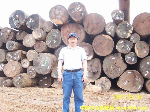 ����ԭľ��Ԕ��(x��)��B