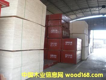 ����ģ���Ԕ��(x��)��B