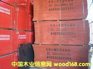 ���zģ���Ԕ��(x��)��B