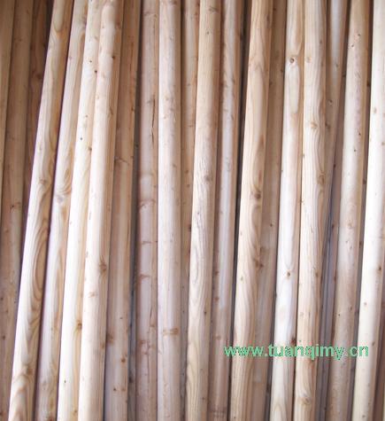 ���~��ľ�S��Ԕ����B