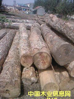 ��ľ2��Ԕ��(x��)��B