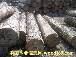 ��ľ3��Ԕ��(x��)��B