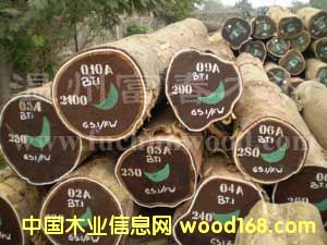 �����u��ľ��Ԕ��(x��)��B