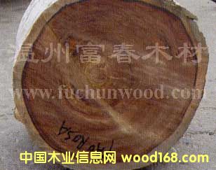 ���޴��~�t̴��Ԕ��(x��)��B