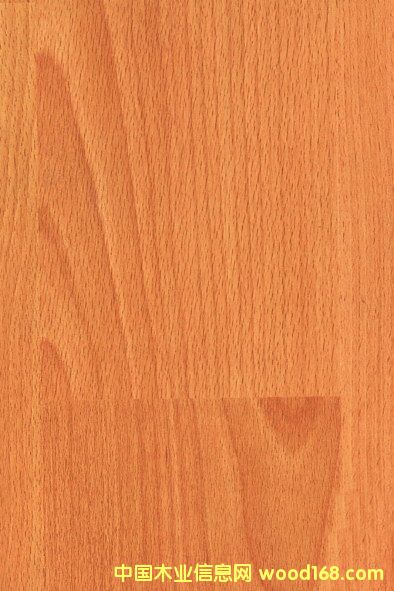 ���n����Ԕ��(x��)��B