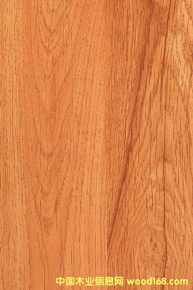 ���n����Ԕ��(x��)��B