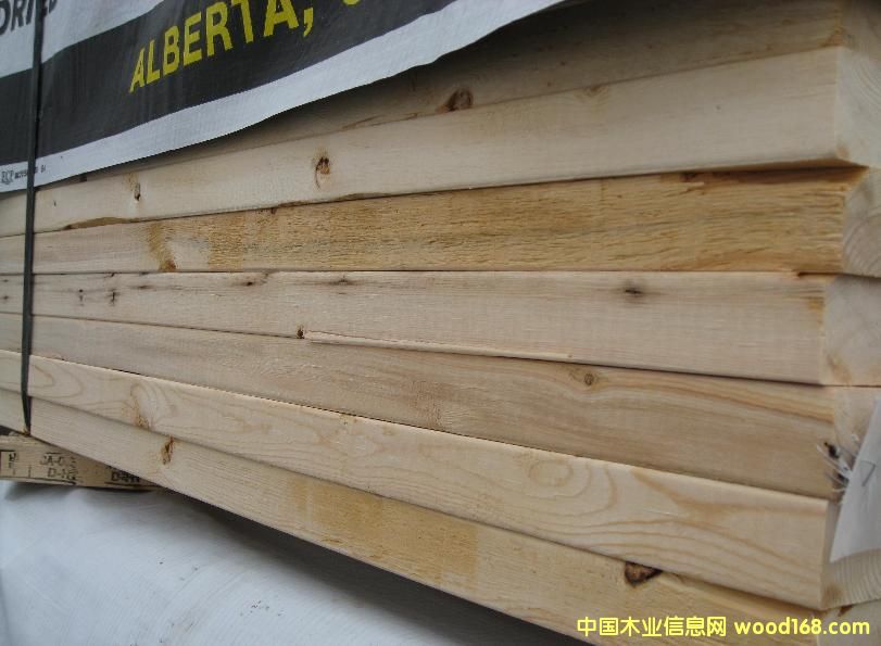 SPF ������Ԕ����B