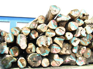 ������ľ(�Ҿ߼�)��Ԕ����B