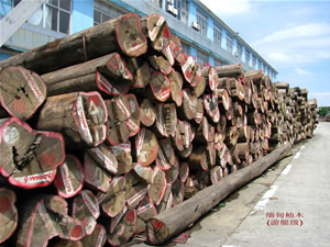 ������ľ(��ͧ��)��Ԕ����B