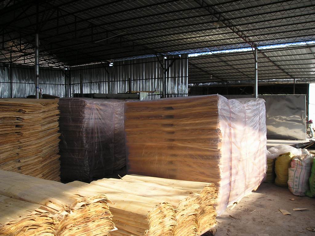 ��ľ�ΰ��Ԕ����B